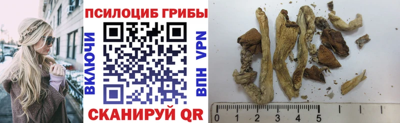 Псилоцибиновые грибы мухоморы  Сочи 