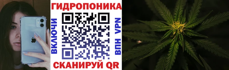 Шишки марихуана THC 21%  купить  цена  Сочи 